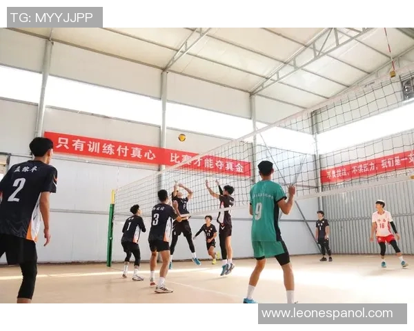 上海排球队近期状态分析与未来发展方向探讨