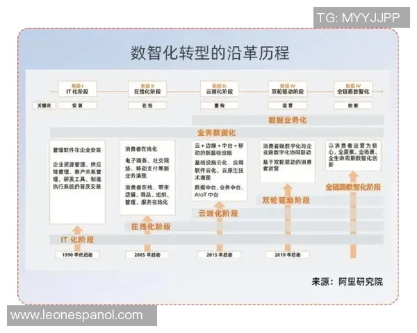 杭州排球队的转型之路：从传统强队到现代化竞技新标杆的探索与实践