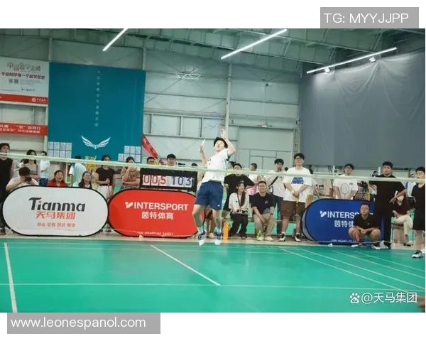 武汉羽毛球队现状分析与未来展望聚焦羽毛球运动发展与团队建设