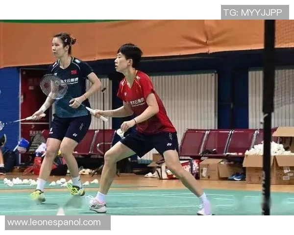 深圳羽毛球队与武汉羽毛球队赛后复盘力量对比分析与启示