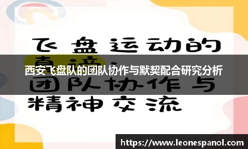 西安飞盘队的团队协作与默契配合研究分析