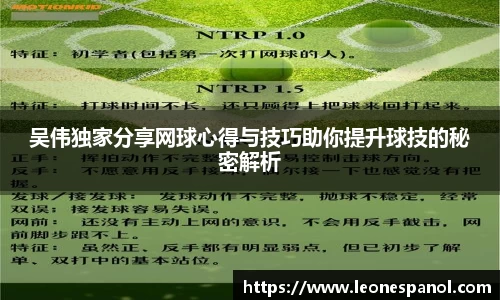 吴伟独家分享网球心得与技巧助你提升球技的秘密解析