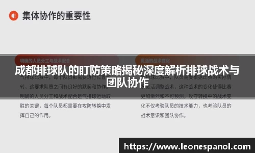 成都排球队的盯防策略揭秘深度解析排球战术与团队协作